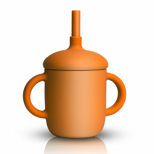 Baby Feeding Cup - Straw Bottle Sippy Cup