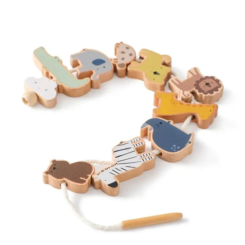 Montessori Wooden Toy Stacking & Threading for children multi-variant