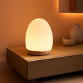 Rechargeable Nursery Night Light Egg Lamp Multicolor